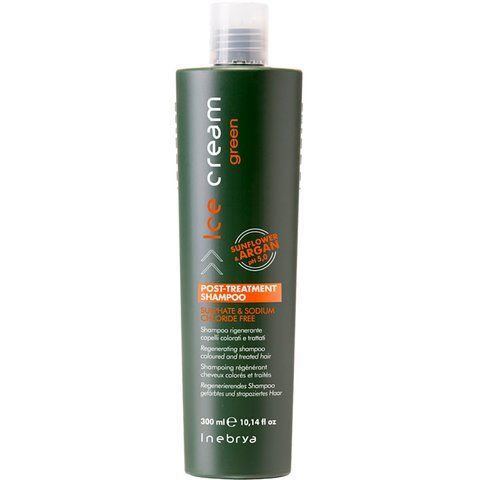 Шампунь регенеруючий для фарбованого волосся Inebrya Post-Treatment Shampoo 300 мл IN0006 фото