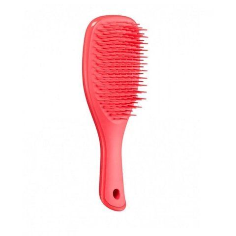 Tangle Teezer. Гребінець The Wet Detangler Mini Pink Punch TT1702 TT1702 фото