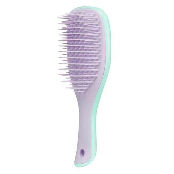 Гребінець для волосся Tangle Teezer. The Wet Detangler Mini Wisteria Leaf TT1311 фото