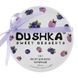 Йогурт для волосся чорничний DUSHKA Hair yogurt 200 мл DS0012 фото 1